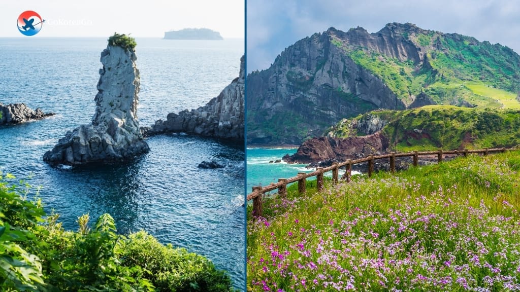 2. Jeju City Area: Hidden Beach Paradise on Jeju Island