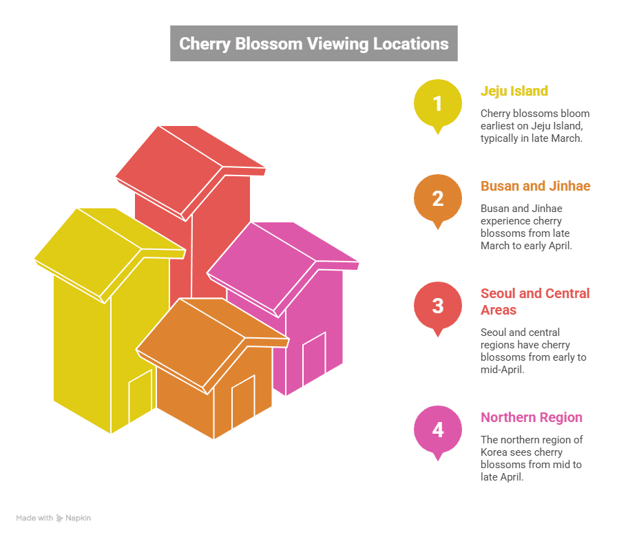 Korea for Cherry Blossoms