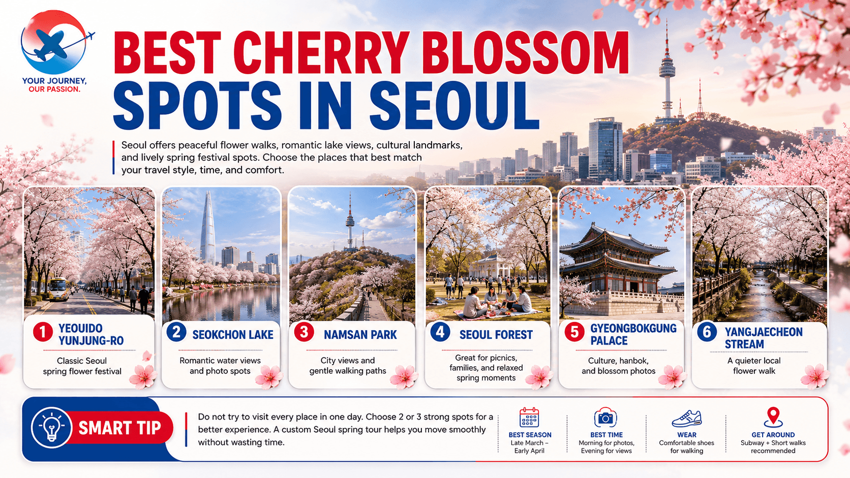 Best Cherry Blossom Spots in Seoul