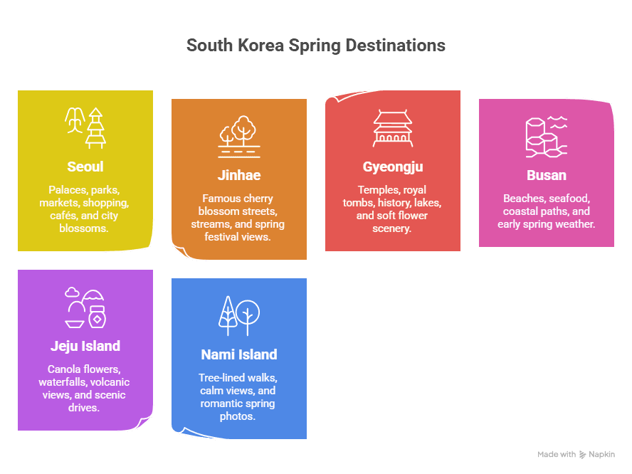 Places to Visit in South Korea in Spring for Blossoms