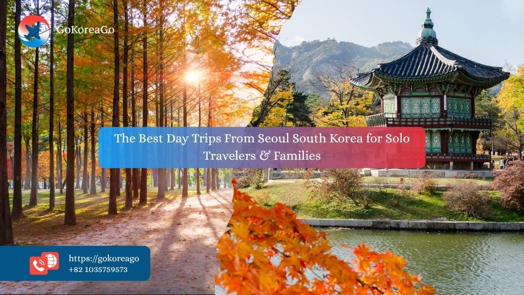The Best Day Trips From Seoul South Korea for Solo Travelers & Families