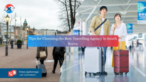 Tips for Choosing the Best Travel Agency in South Korea