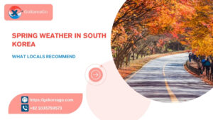 Spring Weather in South Korea: What Locals Recommend