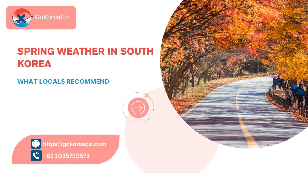 Spring Weather in South Korea: What Locals Recommend