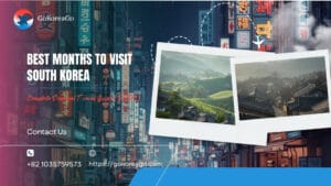 Best Months to Visit South Korea: Complete Seasonal Travel Guide (2026)