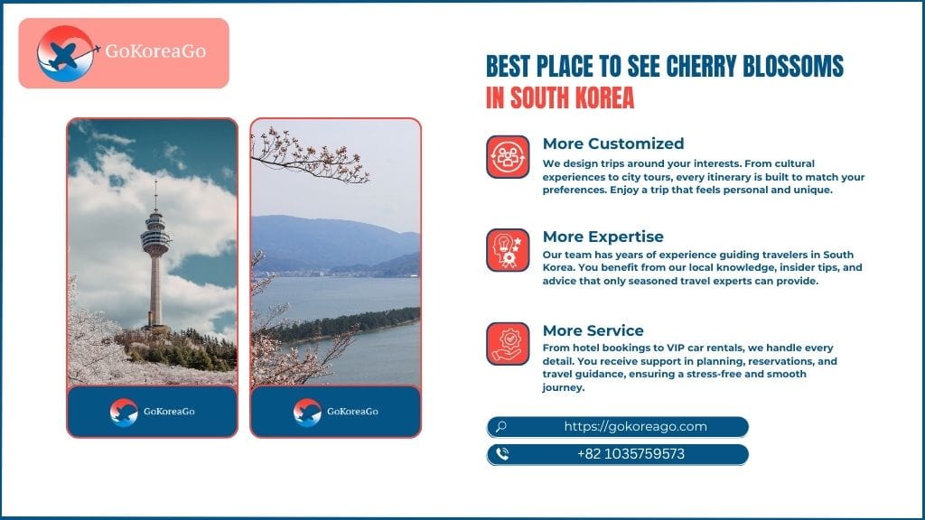 Best Place to See Cherry Blossoms in South Korea (2026 Complete Guide)