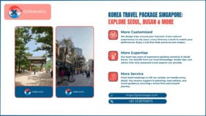 Korea Travel Package Singapore: Explore Seoul, Busan & More