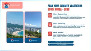 Plan Your Summer Vacation in South Korea - 2026