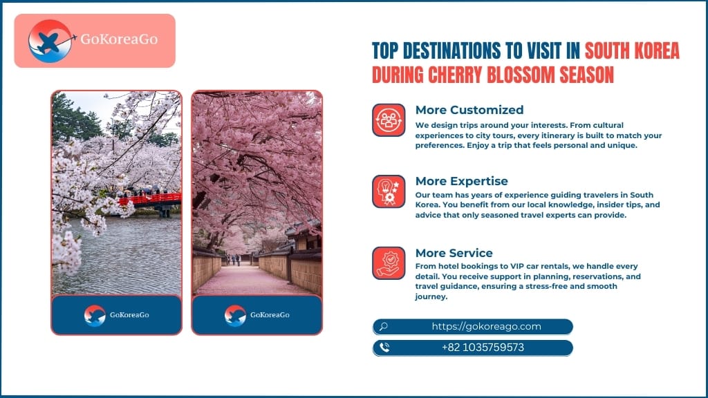 Top Destinations to Visit in South Korea During Cherry Blossom Season