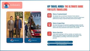 VIP Travel Korea: The Ultimate Guide for Elite Travellers