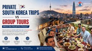 Private South Korea Trips vs Group Tours: Which One Should You Choose?