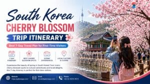 South Korea Cherry Blossom Trip Itinerary: Best 7-Day Travel Plan for First-Time Visitors
