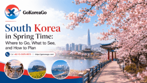 South Korea in Spring Time: Where to Go, What to See, and How to Plan