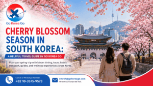 Cherry Blossom Season in South Korea: A Helpful Travel Guide by Go Korea Go